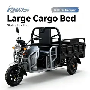 Factory Direct Electric Three Wheeler Cargo Passenger Dual Use Low Noise Stable Driving Electric Tricycle With 12 Months Warranty thumbnail-3