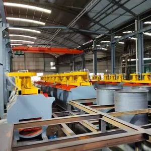 Gold CIL CIP Leaching Plant 100-500 TPD Activated Carbon Leaching High Efficiency EPC Project thumbnail-1