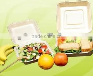 Eco-smart 100% Biodegradable Microwavable Sugarcane 9" Lunch Box thumbnail-1