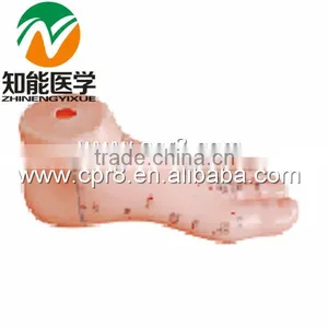 BIX-Y1022 Foot Massage Model 12CM thumbnail-1