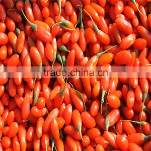 Ningxia Bulk Goji Berries Wholesaler thumbnail-3