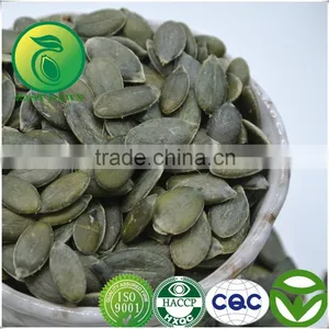 Bird Pumpkin Seeds Kernels GWS thumbnail-1