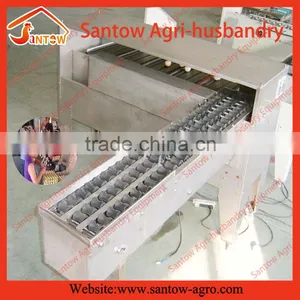 Long Lifetime Good Price Chicken Egg Sorting Machine With Higher Accuracy thumbnail-1