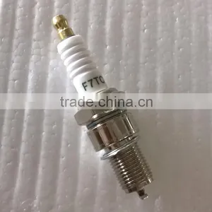 BISON China Taizhou 168F Gasoline Engine Spare Parts Spark Plug F7TC thumbnail-5