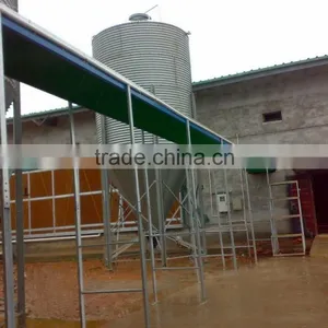 Central Egg Conveyor System thumbnail-2