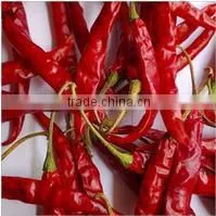 High Quality Cheap Indian Red Chilli thumbnail-1