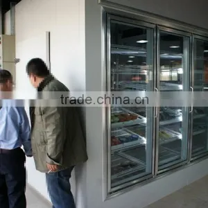 Freezing Glass Door Cold Room for Supermarket thumbnail-2