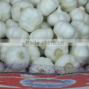 6.0cm Chinese Jinxiang Garlic 2015 Crop Pure White Skin thumbnail-1