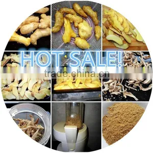 Dehydrated Ginger Dried Ginger Factory Wholesale Price thumbnail-4