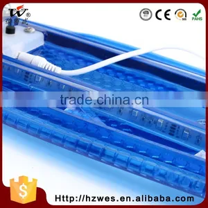 70kgs Top ABC Deck Material OEM Fish Shape Skateboard With LED thumbnail-6