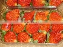 STRAWBERRY FOR SALE thumbnail-1