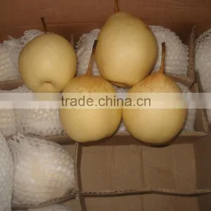 New Crop ya Pear of China Fruit With Best Quality thumbnail-1