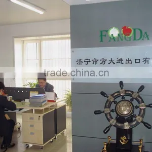 Jining Fangda Import And Export Corporation company overview - view 1 thumbnail