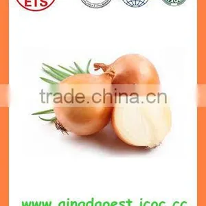 Best Quality Fresh Products Red/yellow Onion From China thumbnail-1