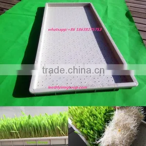 Rectangular Hydroponics Propagation Flat Nursery Seedling Trays thumbnail-1