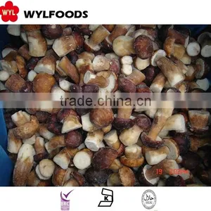 China Mushroom Frozen Boletus Mushroom Good Quality Best Price thumbnail-3