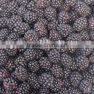 IQF Blackberry thumbnail-1