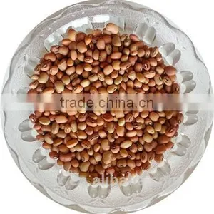 JSX Fair Trade Black Eye Beans and Brown Eye Beans Types of Export Cowpea Bean thumbnail-1
