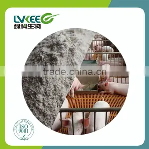 Probiotics Powder 500BL Bacillus Amyloliquefaciens Amino Acid Promoter From Lvkee thumbnail-4