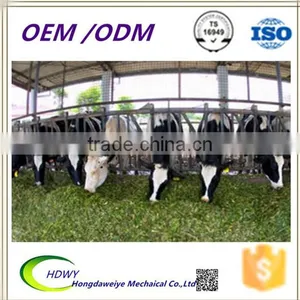Cow Headlocks;cattle Headlocks;Feeding Equipment Cow Neck Lock thumbnail-3