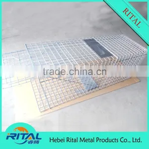 Galvanized Coon Live Cage Trap for Trapping Coon thumbnail-5