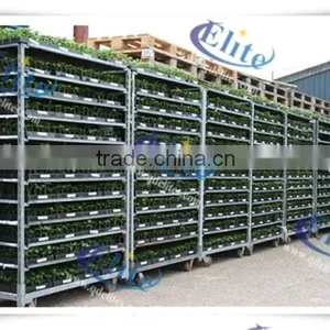 124 Seedling the Flower and Pot Plant Trolley , Seedling Pool Rack, Seedling Pot Plant Trolley thumbnail-6