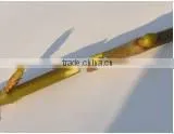 SUCA 2014 Function Omega Grafting Tool With Three Blades/gardon Hand Tool thumbnail-2