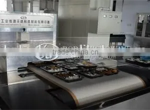 Fish Meal Dryer thumbnail-4