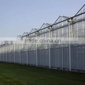 BaoLiDa 4mm,6mm,8mm,10mm pc Sheet Greenhouse For Vegetables/Crops thumbnail-1