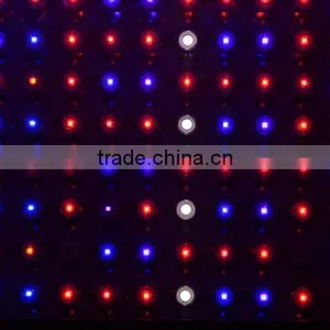 High Quality Greenhouse Cheap 600w Led Grow Lights for Sale thumbnail-5