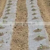 Anti-uv Plastic PE Greenhouse Film thumbnail-1