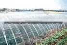 Agriculyural Film /greenhouse Film thumbnail-1