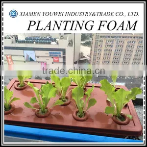 White Floral Foams Brick For Soilless thumbnail-1