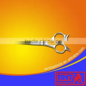 Salon Hair Scissor thumbnail-1