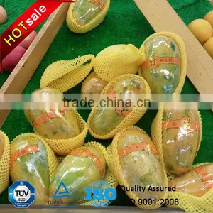 Protection Safe Useful EPE Papaya Packing Sleeve Net thumbnail-1