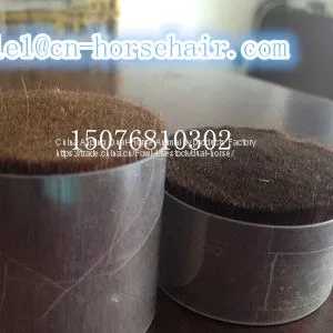 Horse Hair thumbnail-2