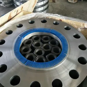 ASME B16.5 Steel Flange thumbnail-3