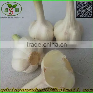Cang Shan 4-6 Clove Garlic/Fresh Garlic thumbnail-1