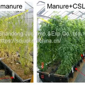 Organic Water Soluble Fertilizer Corn Steep Liquor Powder for Liquid Organic Fertilizer Corn Steep Powder thumbnail-3