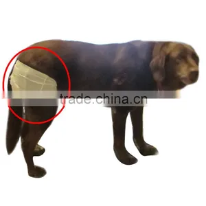 Diapers for Small Dogs Dogs With Diapers Doggie Diapers for Old Dogs thumbnail-1