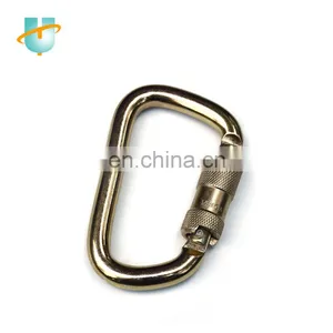 Auto Lock Carabiner D Type Safety Carabiner Snap Hook Spring Hook Plated Black Coated thumbnail-1