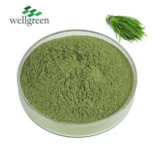Water soluble Natural Essence Dehydrated Vegetables Dried Leeks Seed Extract Leek Juice Powder thumbnail-2