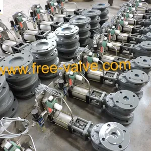 DSCN4432 Pneumatic Metal Seated Double Disc Gate Valve