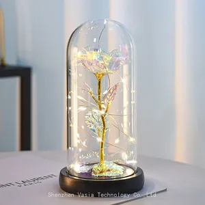 Mother's Valentine's Day Plastic Eternal Galaxy Rose in Glass Dome With LED Lights Wholesale Gift thumbnail-5