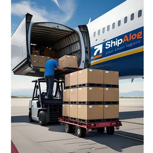 Fulfillment Center; China to Global E-commerce Shipping; Dropshipping Agent for Online Sellers thumbnail-4