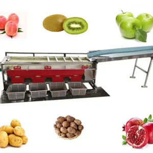Easy Operation Fruit and Vegetable Waxing and Sorting Machine Citrus Orange Grading and Waxing Equipment thumbnail-4
