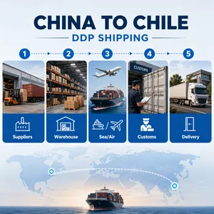 China to Chile DDP Shipping and Door Delivery Service thumbnail-5