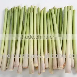 Fresh Lemongrass thumbnail-1