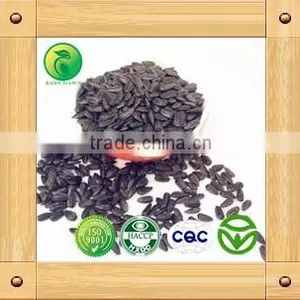 Sunflower Seeds for Birds Small Seed High Oil Content thumbnail-1