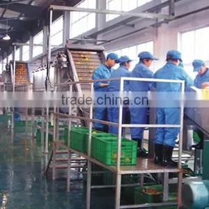 1.5 Tons Tomato Jam Production Line thumbnail-1